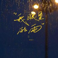 我眼里的雨(副歌版)