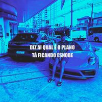 Diz Ai Qual É o Plano, Tá Ficando Esnobe