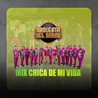 Mix Chica De Mi Vida