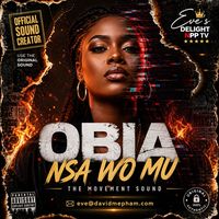 NPP 2028, Obia Nsa Wo Mu, Ghana politics, Ghana campaign song, NPP song, Ghana music 2026, political song Ghana, Eve Delight, Ghana trending song, campaign anthem