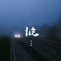 谁 (DJR7版)
