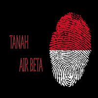 Tanah Air Beta