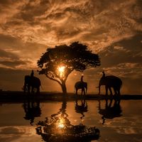 Travel