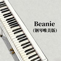 Beanie(钢琴唯美版)(DJ普雷桑 Remix)(剪辑版)