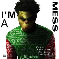I'M A MESS