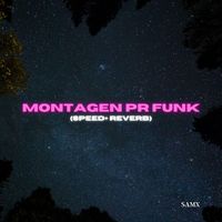 Montagen Pr Funk - Slowed+Reverb