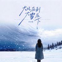 大风在刮大雪在下 - DJ阿尼版