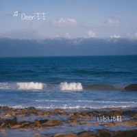 Why Would I Ever(Deer洁洁 Remix)