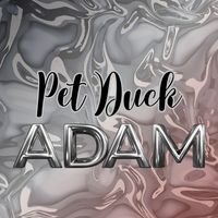 Pet Duck Adam