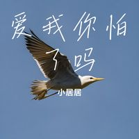 九万字 (小居居 Remix)