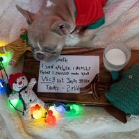 Happy Christmas and New Year