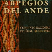 Punchaunikipi