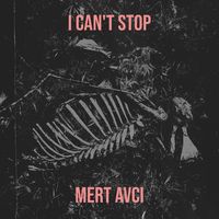 I Can't Stop