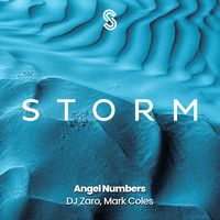 Angel Numbers - Radio Edit