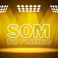 Piseiro Engraçado Divertido