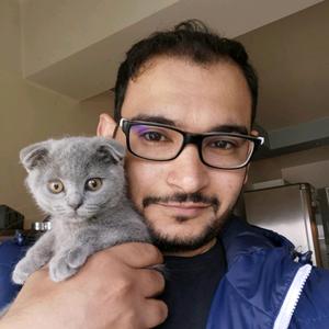 Allawi allawi_9 TikTok Analytics Profile, videos & hashtags Exolyt