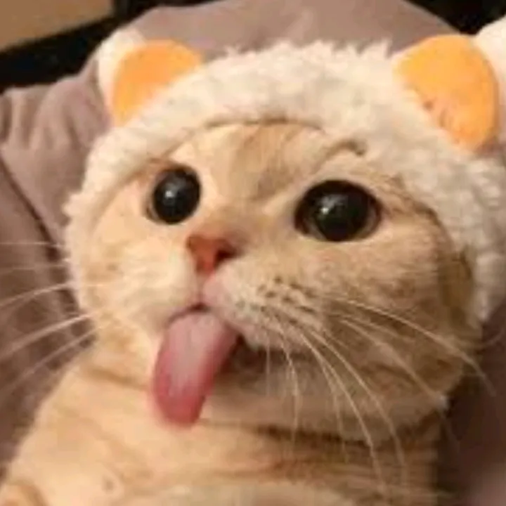 kat.asmr861