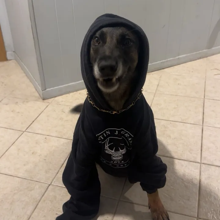 @k9.corporal