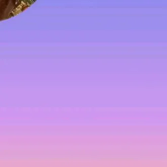 @sofia1801_11