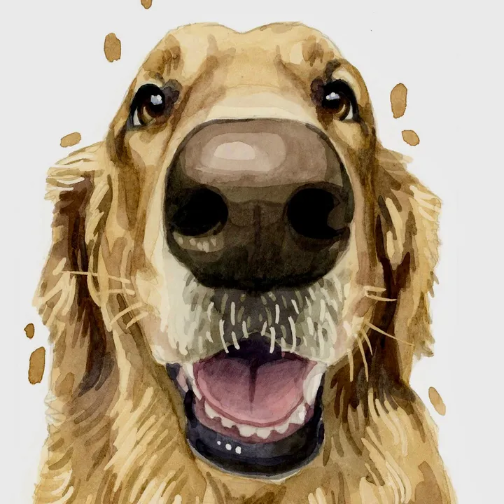 @_oden_the_golden_