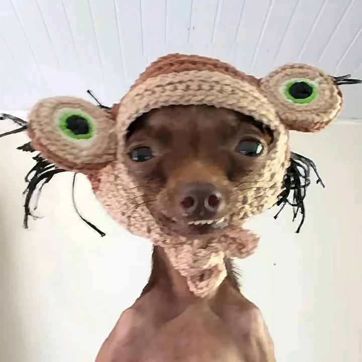 @coddiwompleton