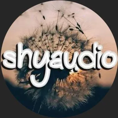 shy audio 💫 - control