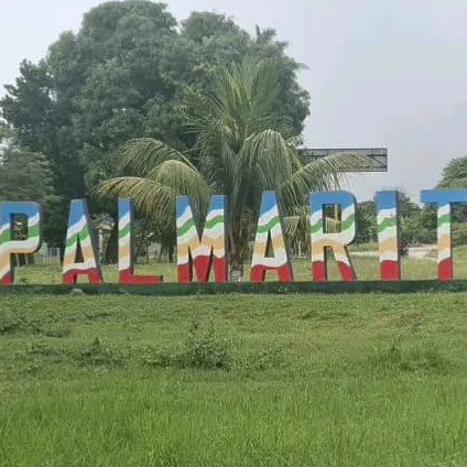 palmaritoficial