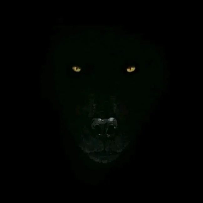 @thedarkking24