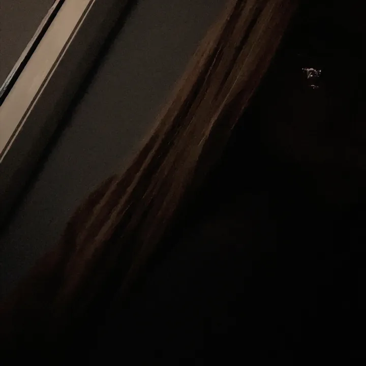 scarlettsspam474