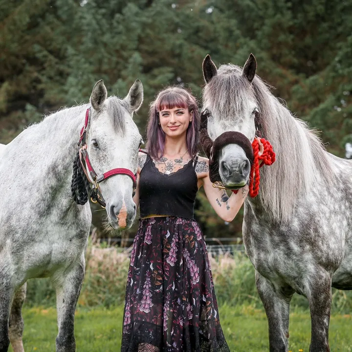 mollyandthegreys