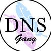 dns_rezzedout3