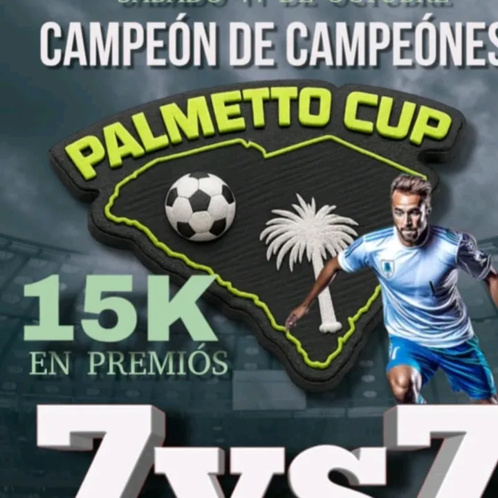 palmetto.league