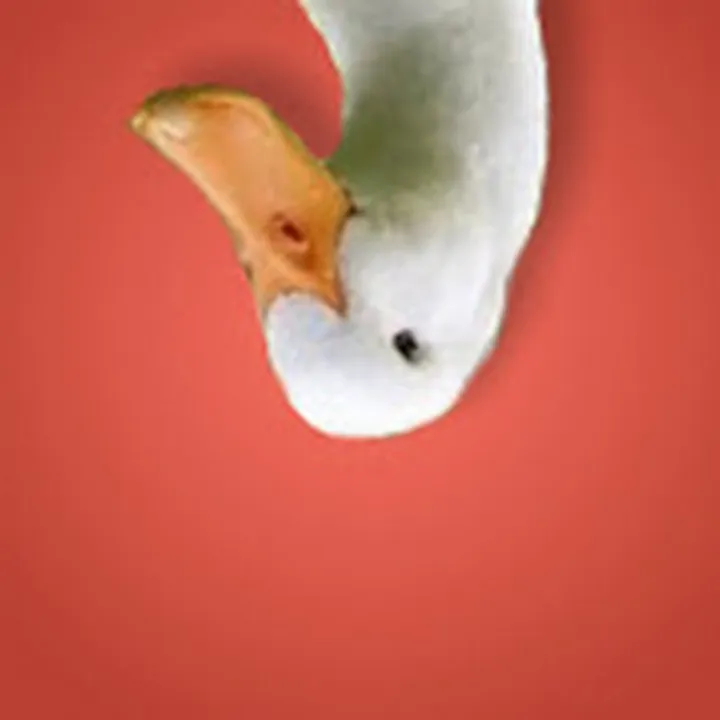 ducktheaugust