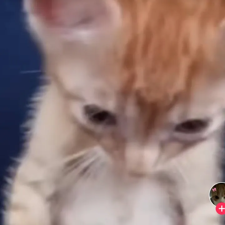 @techmonke123