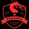 vc_red_black_dragons_ua