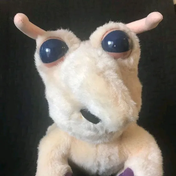 choneechad
