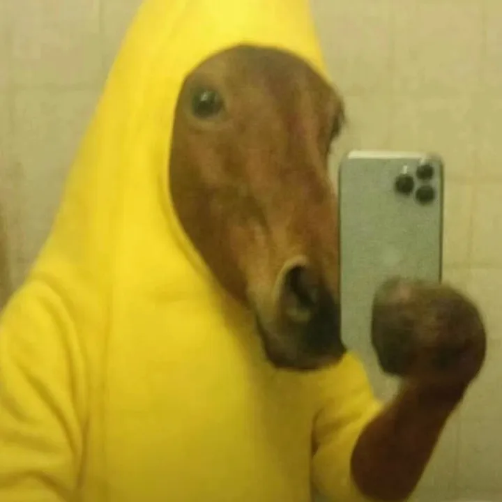 @mehmurl