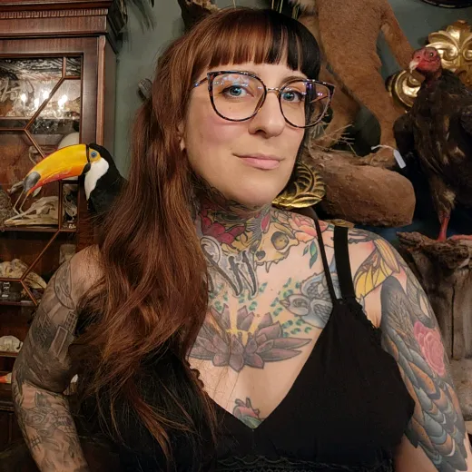 mayjackalope