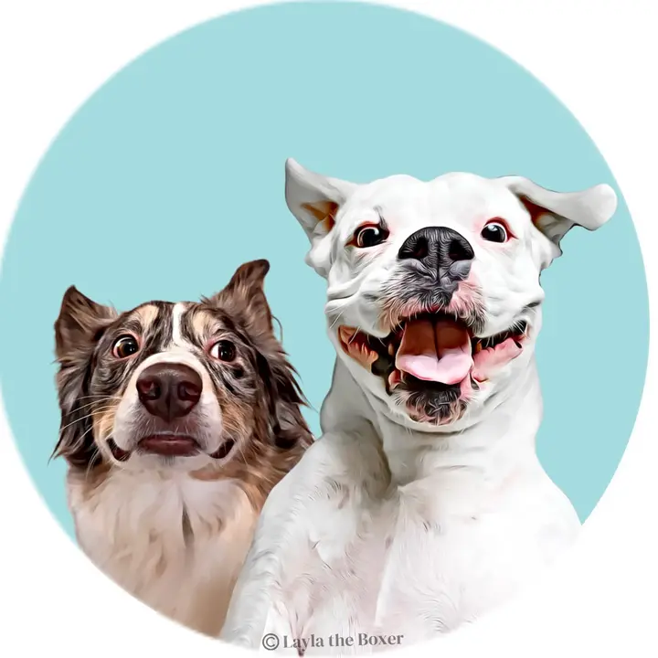 Layla the Boxer - original sound - _layla_the_boxer