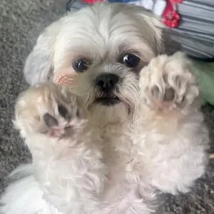 @karay514