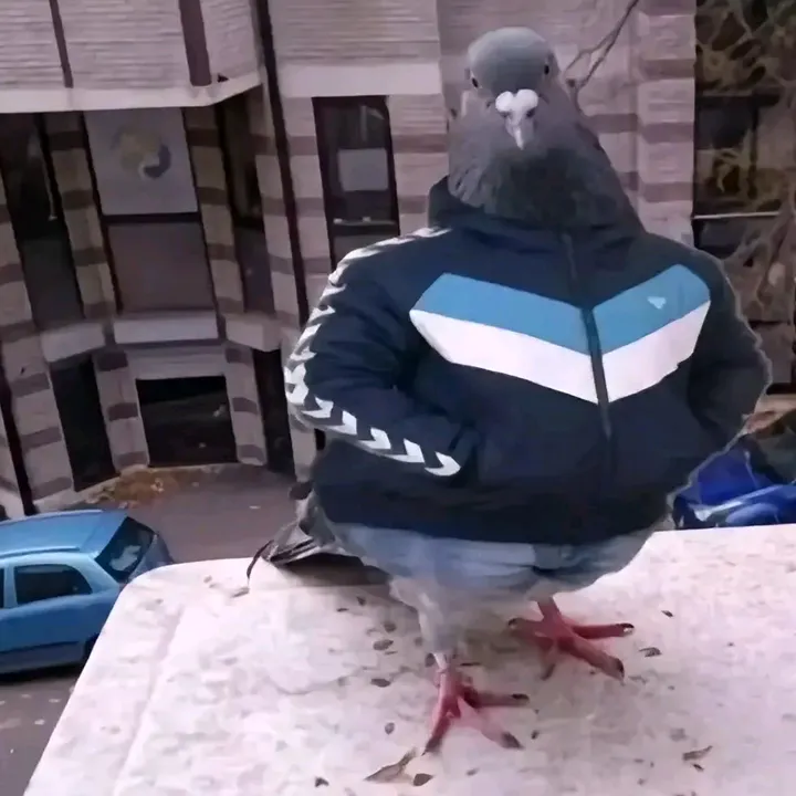 bunhvh