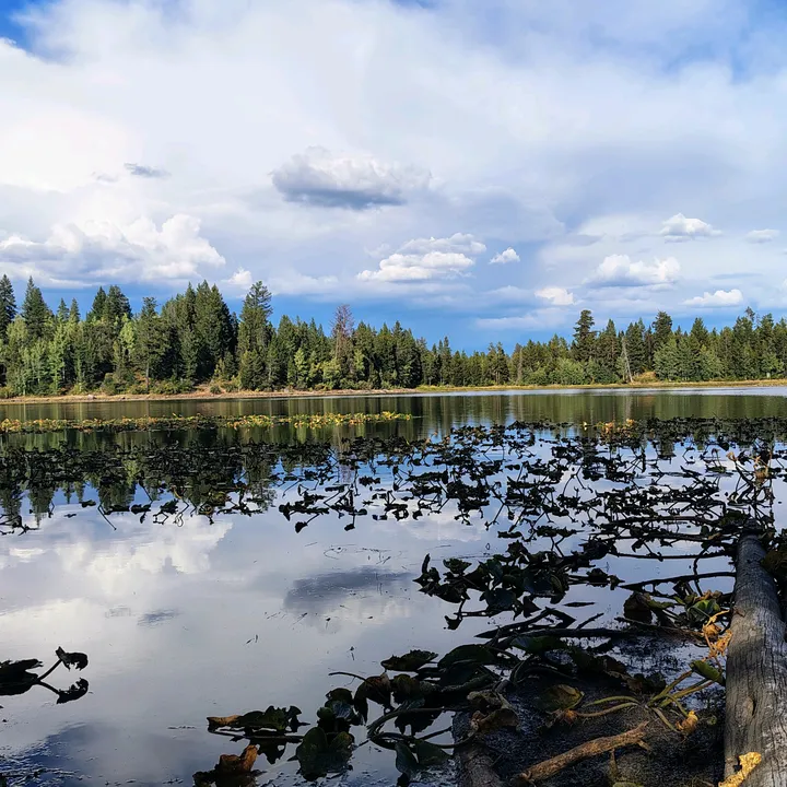 @idaho.adventurer
