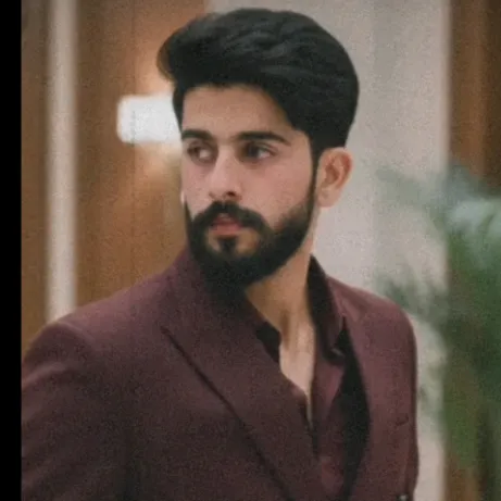 @syedhamza8281