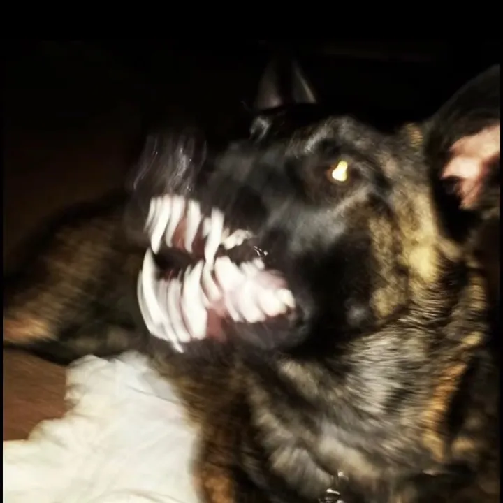 scoobs824