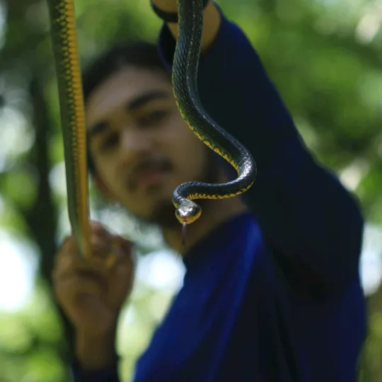 @triniwildlifeadventures