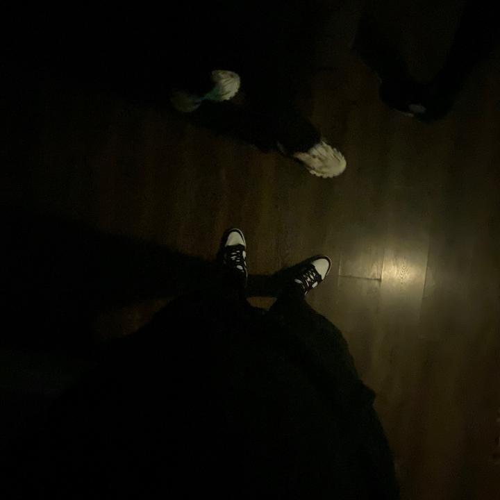 𝖉𝖔𝖙𝖙𝖎𝖊 - suara asli