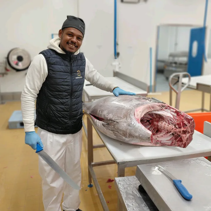 @lapprenti.poisson