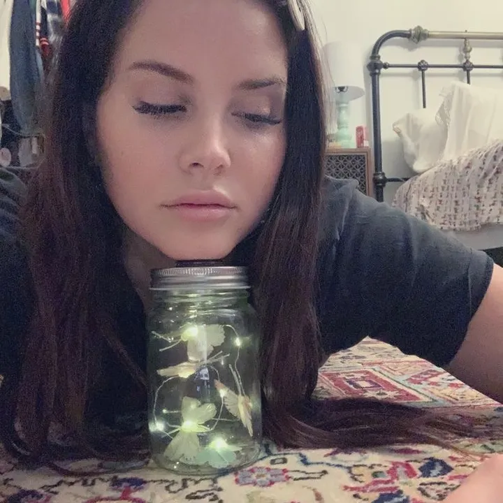 mysegglanita