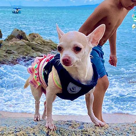 Katy - Eclipse perruno