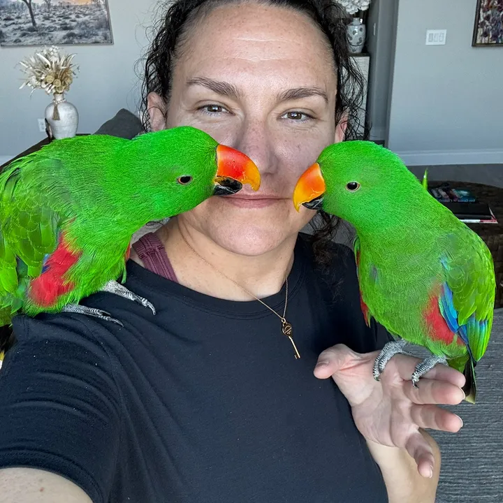 @the_green_bird_brigade